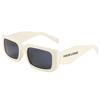 Gafas de sol nuevas de moda europea y americana personalidad de uso gafas de sol irregulares celebridad de internet transfronteriza mismo estilo sesión de fotos callejera nicho