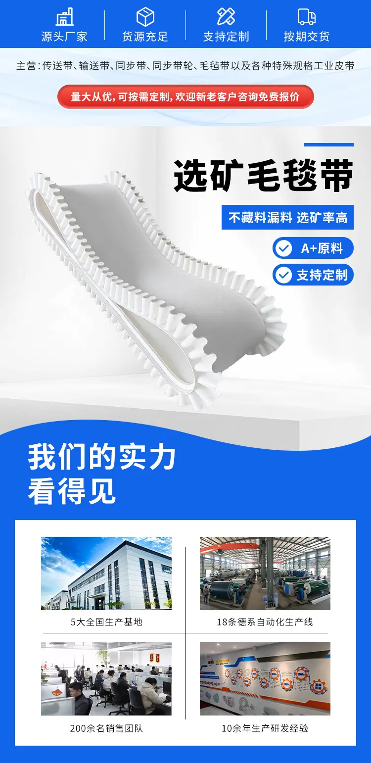 选矿毛毯带1.jpg