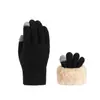 Luvas de dupla camada novas transfronteiriças com forro de fleece, espessadas, jacquard de fleece ártico, luvas quentes de inverno para ciclismo e esqui