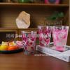Taza de Doble Capa de Vidrio de Borosilicato Resistente al Calor Creativa Transfronteriza Taza de Flores Secas Taza para Desayuno Leche Café Taza para Beber para el Hogar