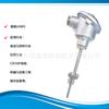 Advantage Supply Sensor de Temperatura Alemán Jumo Serie 902810 Tn48457770