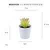 Set de Bonsái de Suculentas de Plástico Mini en Stock, Suculenta Artificial Creativa de Amazon, Flor Artificial Transfronteriza Planta en Maceta Pequeña