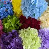 117 Piezas de Hortensia, Hortensia de Hada, Decoración Fresca de Pared de Flores para Boda, Flores Artificiales, Adornos Guía de Camino para Hotel, Arreglo Floral, Flores de Seda