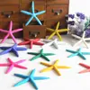 Estilo Mediterráneo Creativo Hogar Resina Cinco Dedos Pintado Pequeña Estrella de Mar Escritorio Pequeños Adornos Acuario Decoración Artesanías
