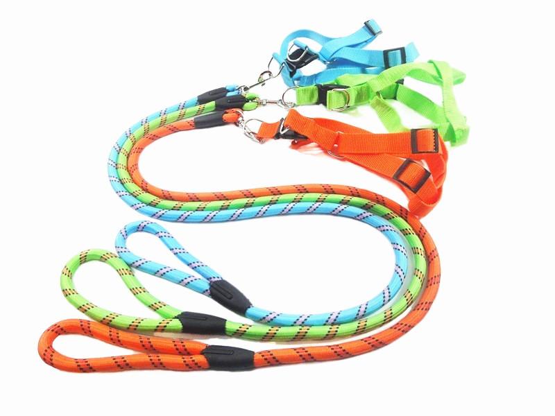 DSC09780_副本_副本