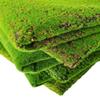 Césped Artificial Verde Musgo Césped Artificial Pared de Plantas Ventana Micro Paisaje Decoración Bonsái Césped Flocado Musgo