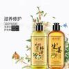 Champú Zhi Ranmei, suave, hidratante, nutritivo y con nutrición activa para el cuidado del cabello, champú de jengibre.