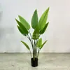 Celebrante de Internet Nórdico Sirena de Simulación Viajero de Coca-Cola Plátano Decoración y Adornos Grandes para Interiores Ave del Paraíso en Maceta