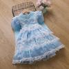Vestido Princesa Elsa Estilo Outono e Inverno Vestido Frozen Vestido de Bolo Vestido Elsa para Menina em Estoque para Meninas