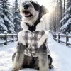 Ropa de terciopelo transportable para perros, ropa de invierno para mascotas, cachorros, perros pequeños, oso amargo, ropa para gatos, otoño e invierno.