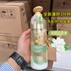 Nuevo Pantene Milagro de Tres Minutos Champú Jazmín Camelia Fragancia Duradera Acondicionador Reparador Multiefecto Envío Gratis
