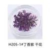 Estilo Ins japonés flor seca para uñas joyería pétalos pequeños Cielo Estrellado 12 rejillas colorida encaje flor decoración de uñas flor