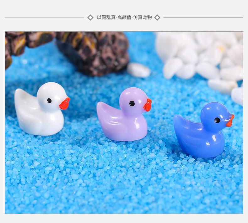 彩色小鸭_06