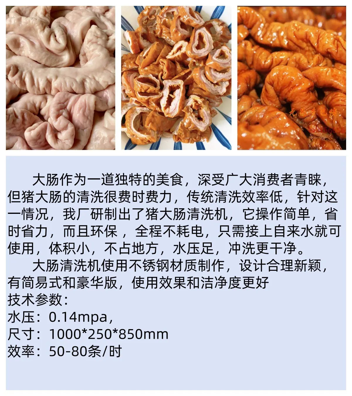 猪大肠_副本