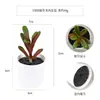 Más de 100 Tipos de Combinaciones de Plantas Suculentas Mini de Plástico Simuladas en Maceta, Mini Bonsáis Suculentos Más Vendidos Transfronterizos, Decoración para el Hogar, Adornos Creativos