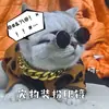 Gafas de Sol para Mascotas, Accesorios para Fotos de Gatos, Gafas Geniales y Únicas para Perros y Gatos Pequeños y Medianos, Gafas Divertidas