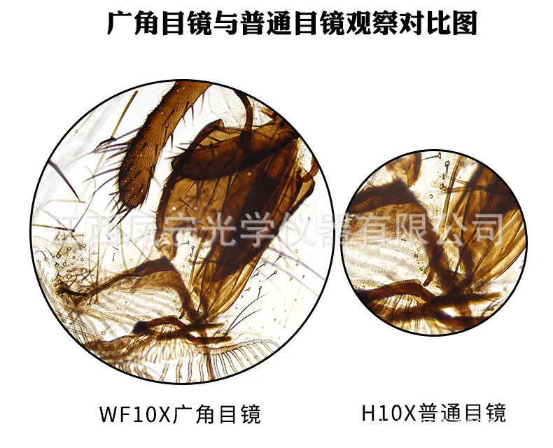 wf10x-目镜_11.jpg