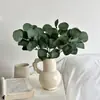 Eucalipto artificial com folha de dinheiro de fruta folha de maçã decoração DIY planta artificial atacado de fábrica Amazon transfronteiriço