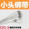 Interruptor magnético de indução de cilindro CS1-J/F/U/CMSH/CMSG/DMSJ sensor de proximidade D-M9BV/A93