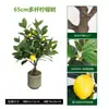 Planta de Maceta de Limonero Artificial Transfronterizo, Planta Verde Artificial Grande para Interiores, Árbol Falso, Adorno Decorativo de Piso para Sala de Estar