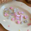 Acessórios DIY de Flor Estrela de Resina Frescos e Simples Ornamentos de Design Versátil Exquisito Ornamentos de Luxo Leve de Toque de Alta Qualidade