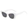 2025 Nuevas Gafas de Sol Cuadradas Pequeñas de Moda Transfronterizas para Hombres y Mujeres Conducción Anti-ultravioleta Celebridad de Internet Gafas Versátiles de Moda