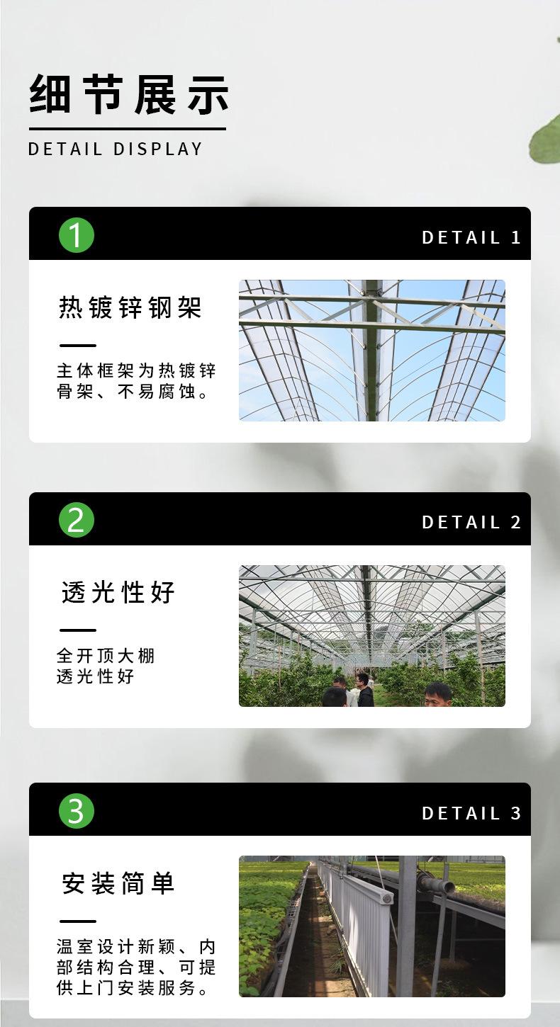 详情 (8).jpg