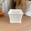 Maceta Cuadrada de Plástico para Suculentas, Maceta Cuadrada Sedum Ébano, Tronco Viejo Ultra Grueso, Racimo Pequeño, Lithops Extra Duro Blanco y Negro