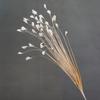 Nueva simulación de boda, hierba de pavo real, hierba de feiling, flor falsa, hierba pteris de plástico, caña, fuegos artificiales, paisaje, floricultura, flor decorativa
