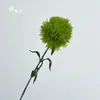 Clavel Verde Flor Artificial con Bolas Verdes Esponjosas, Decoración del Hogar, Arreglo Floral, Accesorio para Fotografía