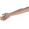 Modelo de Braço para Sutura Cirúrgica Avançada Superfície de Exercício para Ressecção de Glândula Sebácea Ponto de Sangramento Modelo de Hemostasia