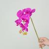 Orquídea Phalaenopsis Simulada de Alta Qualidade 9 Flores 7 Flores 5 Flores Filme Tátil Flores Artificiais Casamento Decoração de Casa Orquídea Europeia Atacado