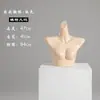 Adereços de Mannequins para Loja de Lingerie, Mannequins de Meio Corpo Masculino e Feminino para Sutiãs e Roupas Íntimas, Modelos de Plástico para Vitrine, Cor Branca e Cor de Pele