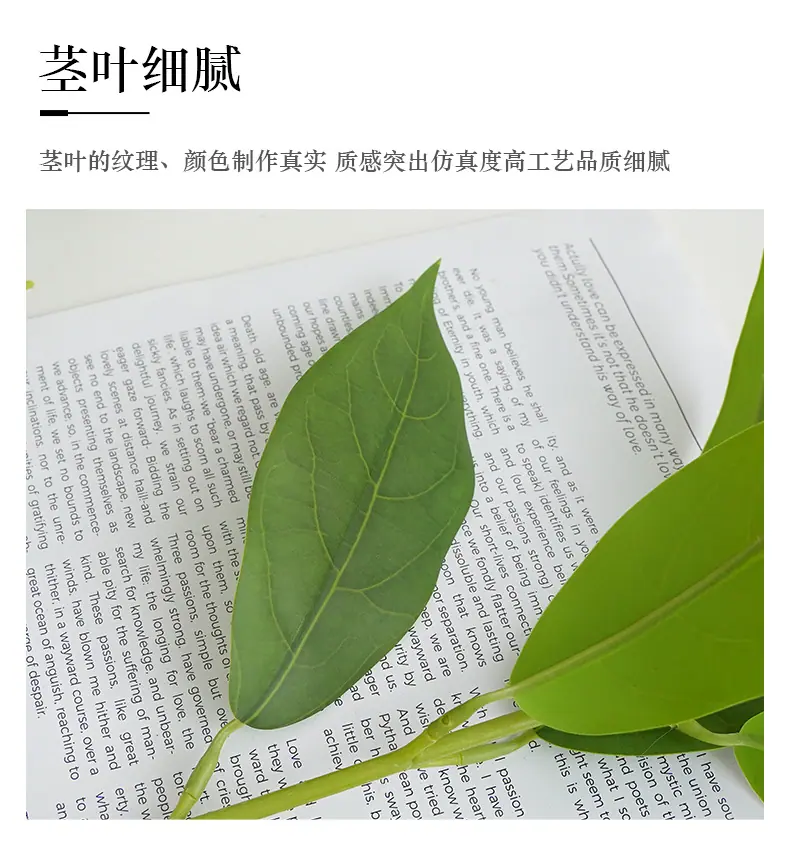 垂丝茉莉_11.jpg