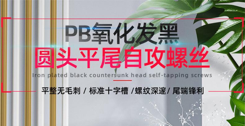氧化发黑PB十字圆头平尾自攻螺丝_01_01.jpg