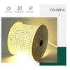 Venta al por mayor de tiras de luces LED para decoración de hoteles, vacaciones, luces de neón para acampar al aire libre, barra de luz de tubo de arcoíris suave impermeable