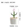 Zibo Manualidades de Vidrio Adornos Boshan Vidrio Planta Verde en Maceta Cactus Flor Brote de Frijol Regalo Decoración de Escritorio