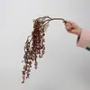 Colgante de planta Fruto de aliso Pegamento suave Fruto de frijol del amor Colgante de pared Decoración de paisajismo Accesorios para arreglos florales Seda suave