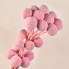Bolas Doradas del Fabricante, Flores Naturales Reales, Materiales para Manualidades, Decoración del Hogar para la Sala de Estar, Arreglos Florales, Adornos de Flores Secas, Martillos Dorados