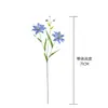An Xu Lírio de Pétalas Duplas Decoração Buquê de Casamento Parede de Flores de Rosa Flor Artificial INS Transfronteiriço Flor de Simulação Fabricante Casa