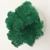 Musgo Flores Preservadas Dia das Mães Musgo Rena Musgo Cabelo Branco Musgo Cinza Atacado Embalado Diretamente do Fabricante Decoração