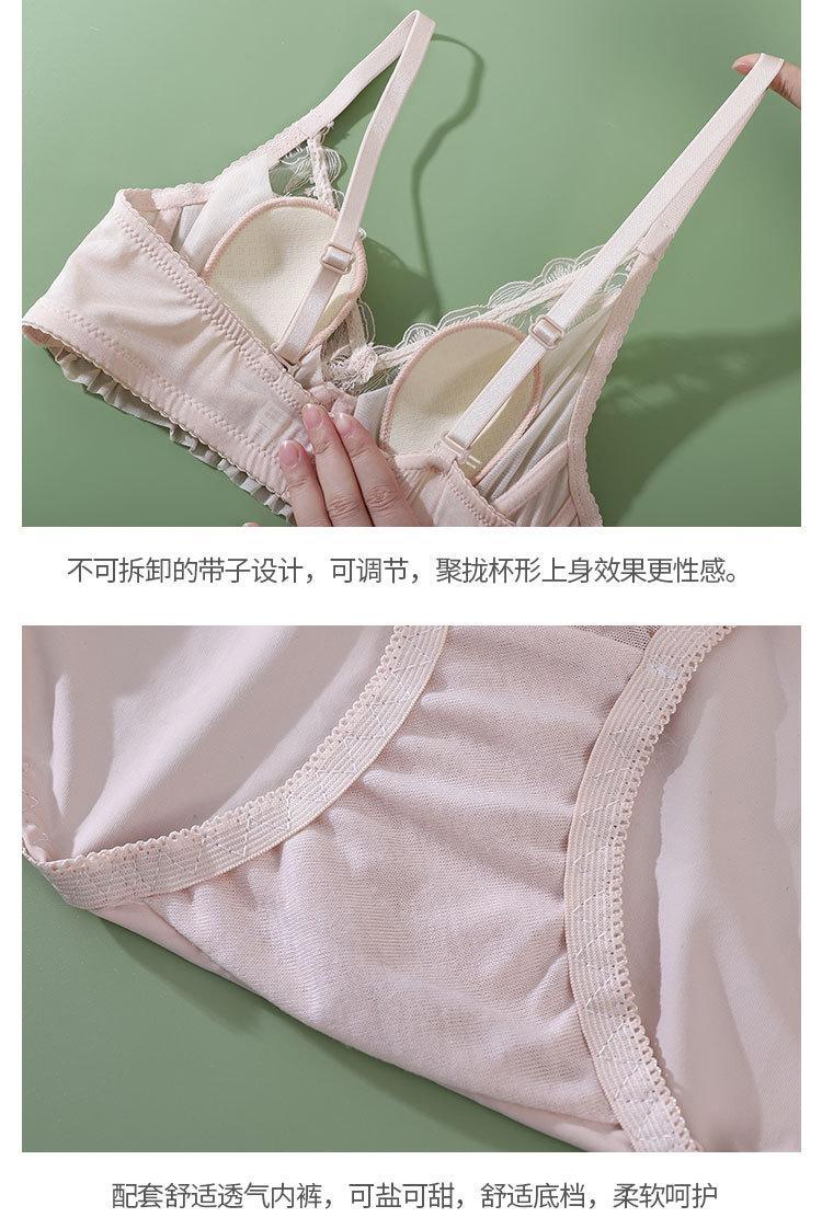 微信图片_2023061717394311