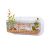 Caja de Almacenamiento de Pared Creativa Transparente Tanque de Peces Hidropónico Maceta Plástico Oficina Sala de Estar Decoración de Pared