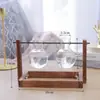 Jarrón de cristal creativo para arreglos florales de sala de estar, recipiente hidropónico transparente simple para plantas pequeñas, maceta de boca estrecha