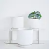 Maceta de Cerámica Blanca Mate Estilo Nórdico Simple para Phalaenopsis y Tulipanes, Maceta Especial Hidropónica con Rayas Verticales, Transpirable, Diámetro Grande