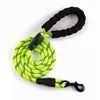 Amazon Transfronterizo Correa para Perro Noche Exterior Luminosa Correa para Perro Antiexplosión Resistente al Desgaste Nylon Correa para Perro Venta al por Mayor