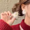 Nuevos Pendientes de Invierno de Alta Gama 2025, Pendientes Peludos Adecuados para el Invierno, Lujo Accesible con Pendientes de Abrigo para Mujer