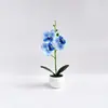 Orquídea Phalaenopsis de 3 Piezas Transfronteriza Planta en Maceta Internacional Mini Decoración de Escritorio Bonsái Adorno para Coche Accesorio para Fotografía de Bodas