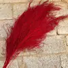 Hierba Barba de Dragón Eterna, Hierba de Junco, Flores Reales, Venta al por Mayor Fabricante de Yunnan, Serie Fuegos Artificiales de Ensueño, Materiales Florales para Cortinas de Boda, Decoración Suave