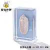 Artesanía Jingling Muestras Biológicas Acuáticas Conchas de Caracol Peces Camarones Cangrejos Regalos de Educación Científica Adornos de Resina Caja Sorpresa